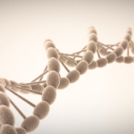 Transgénérationnel